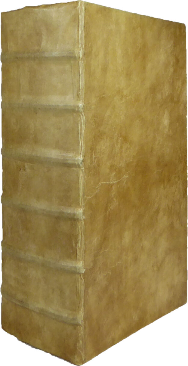 calepinus undecim rel