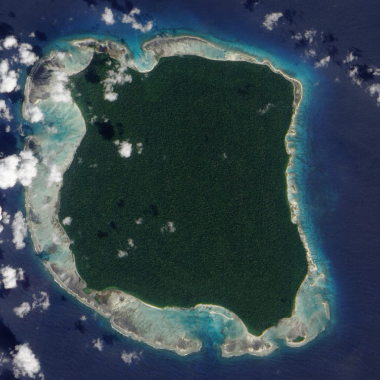 sentinel 1